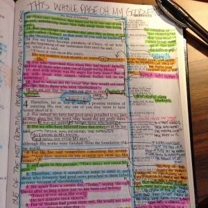 11156309_853832804653383_7679368466074413631_n