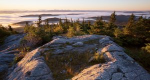 BP1014LOCAL_Diegel_MtHunger