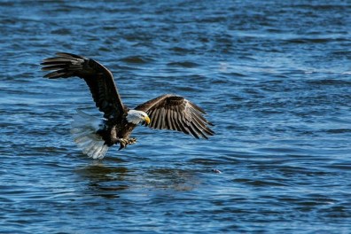 156586_10152161074276154_127703329_n