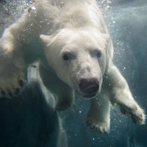 df7185034e2746f4f757f191d46a1b69_f4568