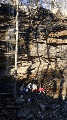 Screen Shot 2016-03-12 at 12.21.38 AM